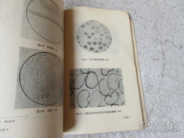 化学纤维的多样用途