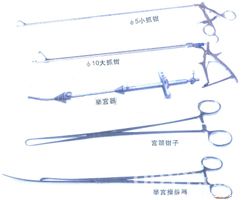 体育场器械，种类、功能与应用