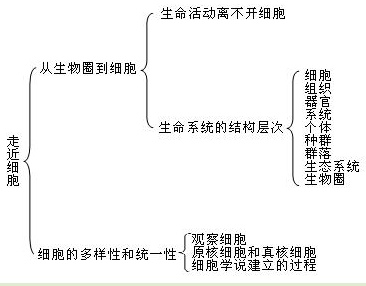 其他收藏品与田间监控之间的关系，探索与解析