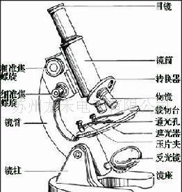 显微镜灯泡使用寿命