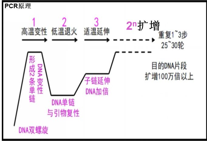 粉末涂料绑定工艺，技术原理与操作指南