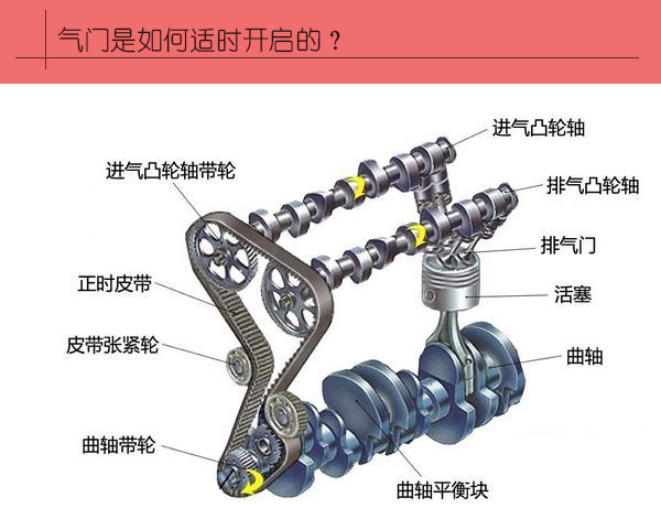 凸轮和曲轴