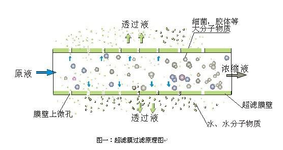 滤膜的功能