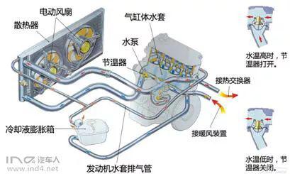 夜闲清莹梦落花 第6页