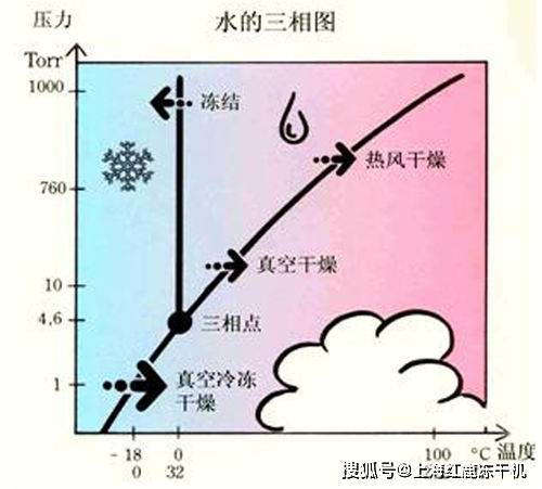 真空干燥机结构图及其工作原理简述