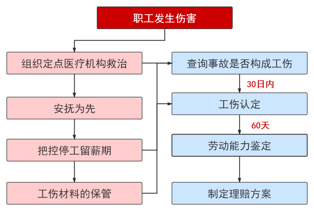 如何处理原矿，全面解析原矿处理流程与关键步骤