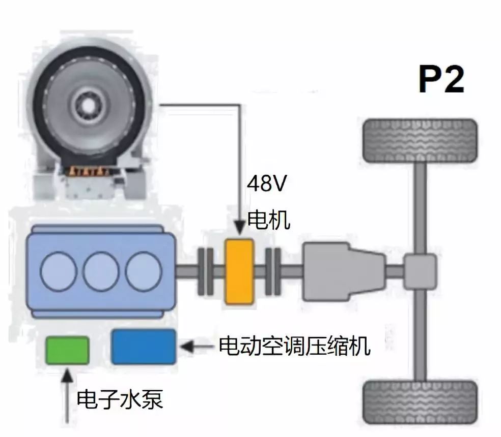 2024年12月6日 第36页