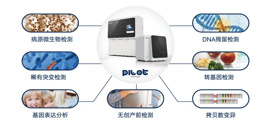 pcr扩增仪属于几类医疗器械