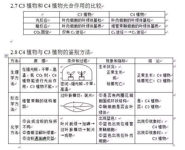 芳香烃衍生物与芳香族化合物的特性及关系研究