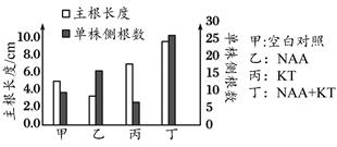 渣油与人造石含量比较，探究两者成分差异及其影响