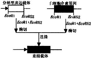 抗冲击性能